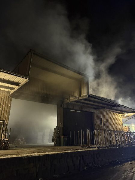 Brand in Lagerhalle (Bild 4)